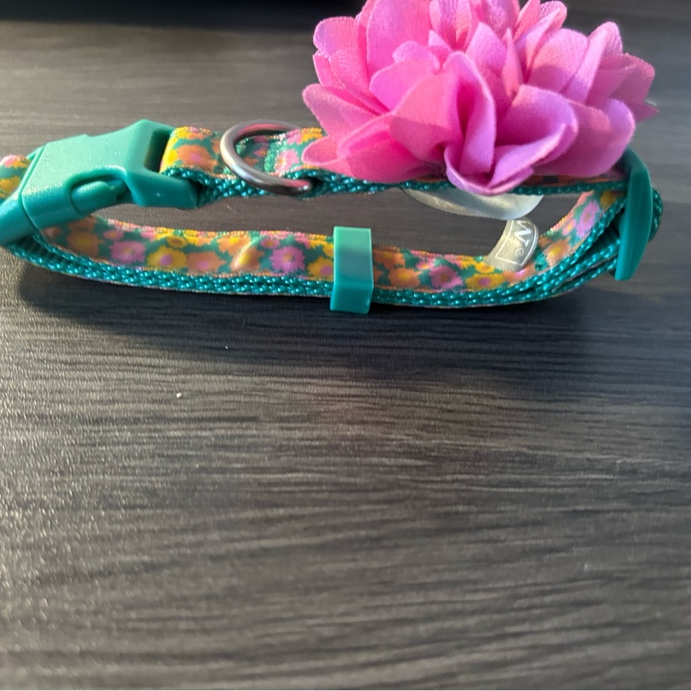 New with tags top paw collar